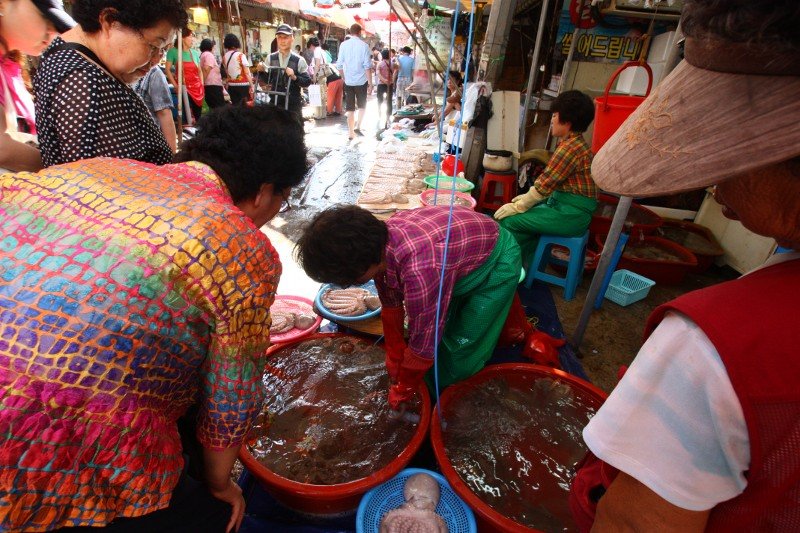 Shoppers leaning over red plastic tubs of water to look at octopus while a vendor in rubber gloves reaches into one, in a narrow market aisle